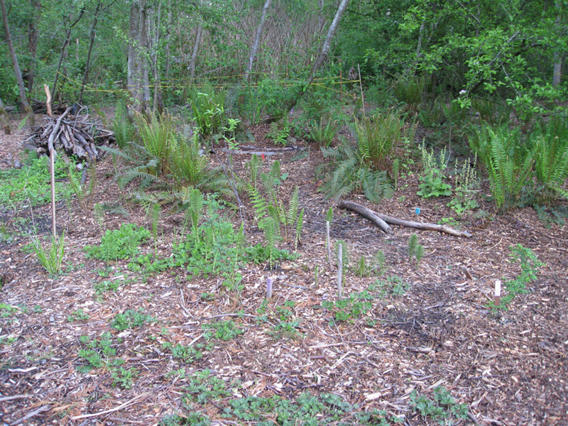 080May 2009 Wetlands and CHP 086